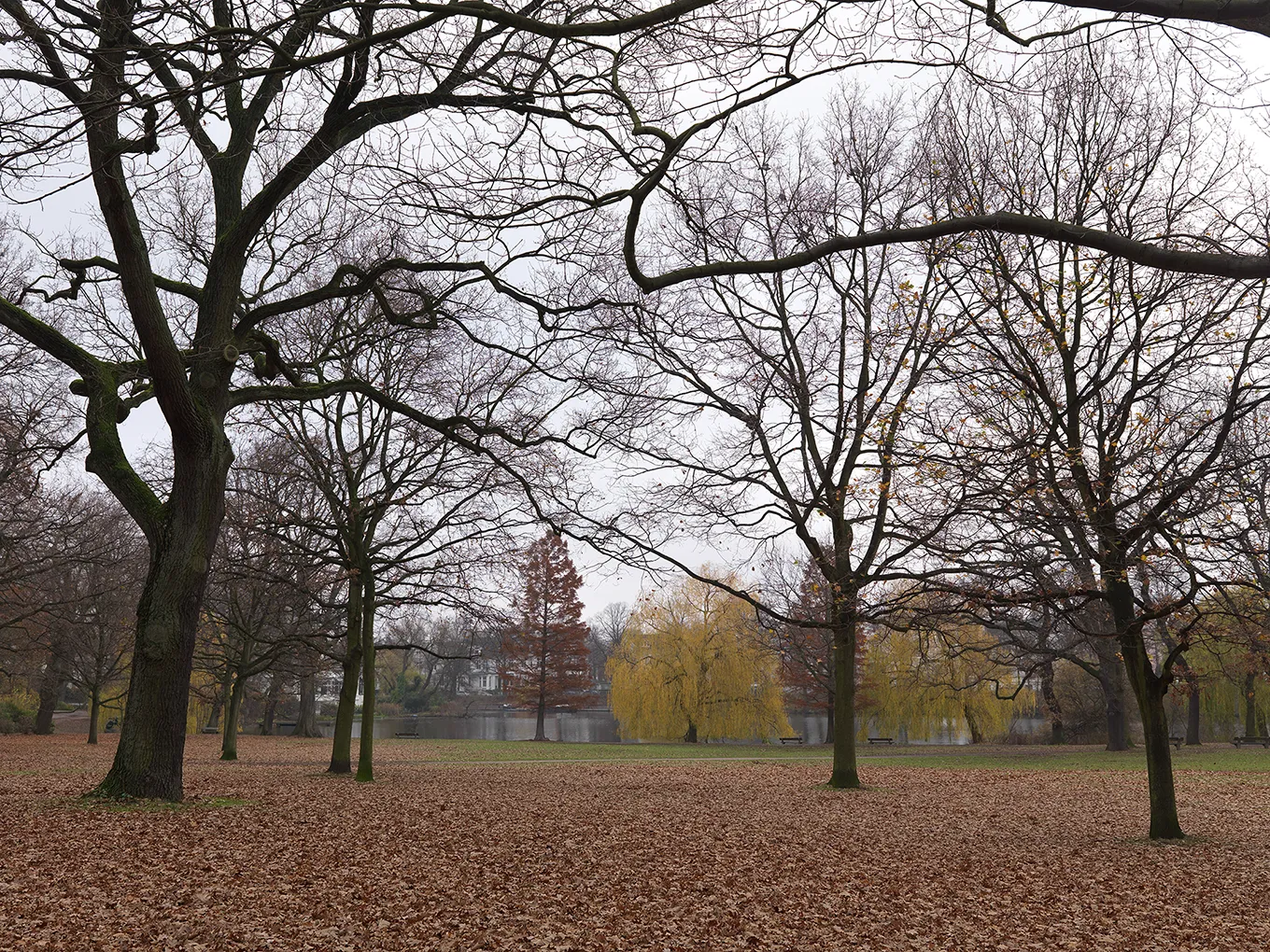 2010 Hamburg Eichenpark #0086