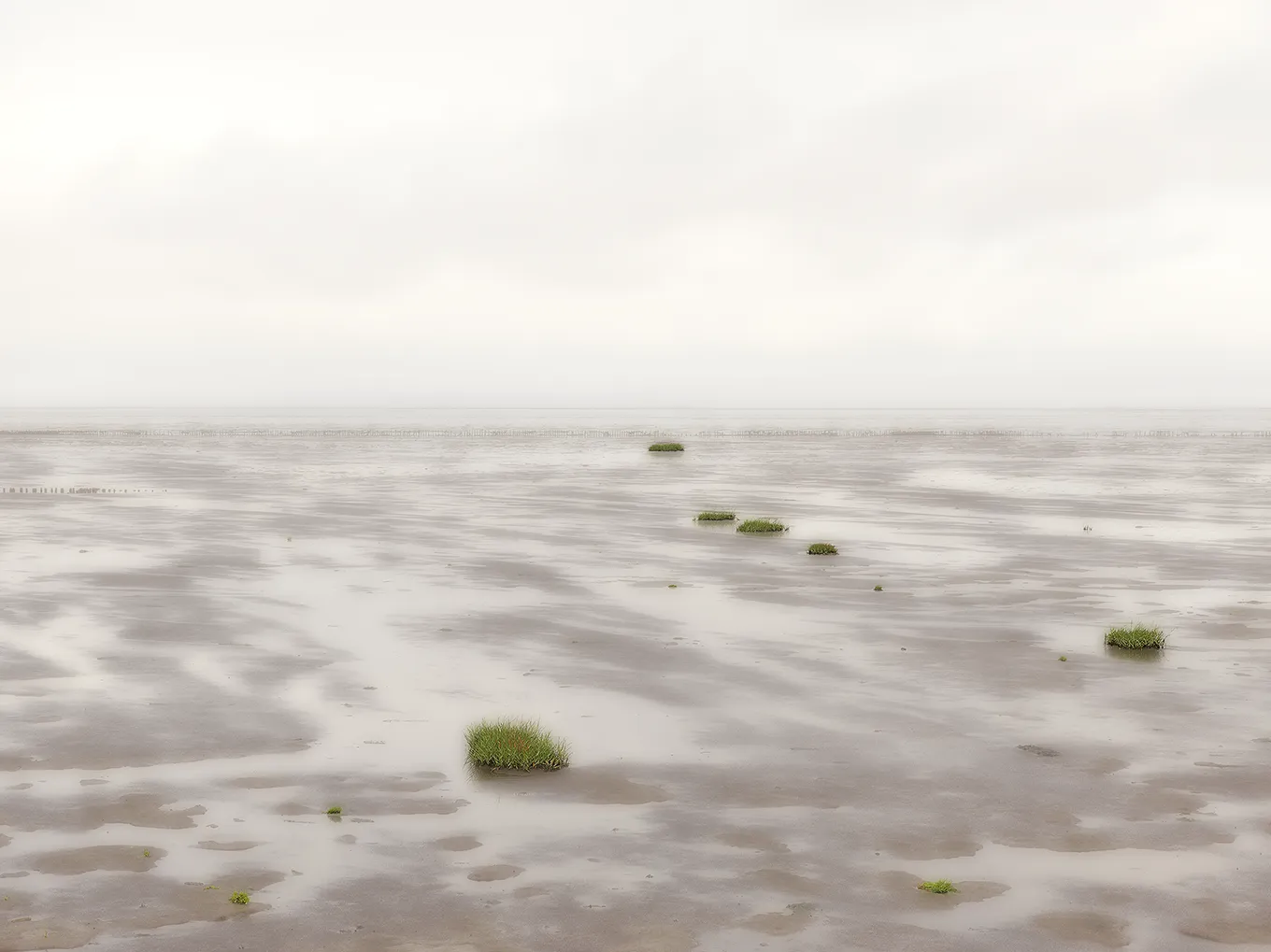 2013 Sylt Damm #0150