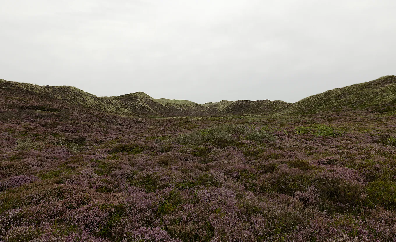 2019 Sylt List #0360