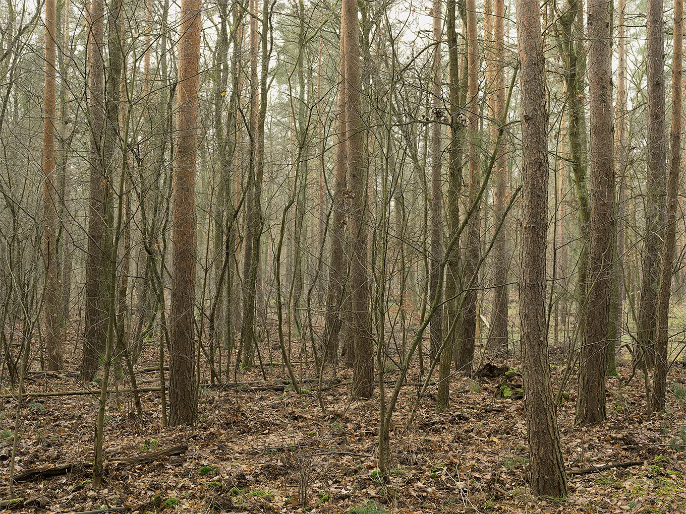 2017 Uckermark #0256