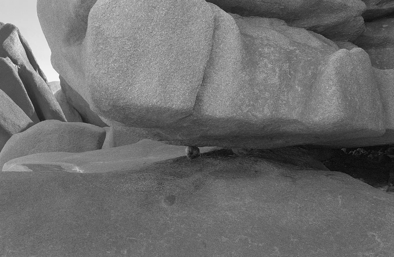 1988 Seychellen #0074